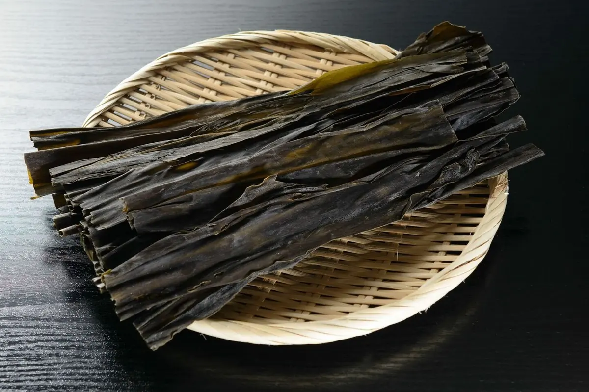 昆布水のもととなる昆布